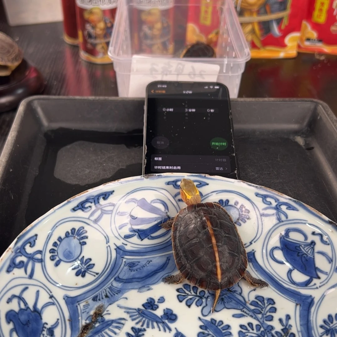 母长**O新年快乐我是真的