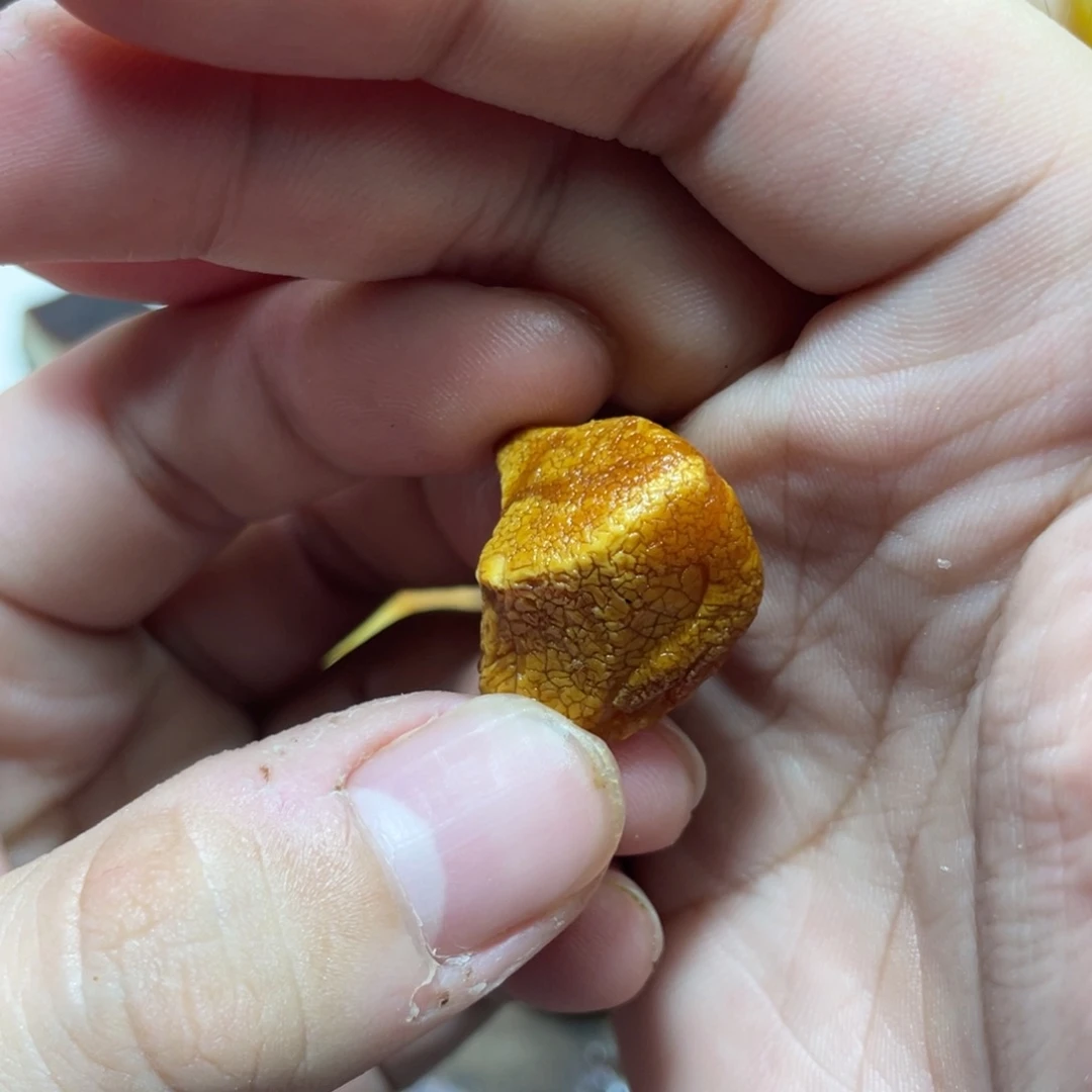 定制琥珀蜜蜡圆珠