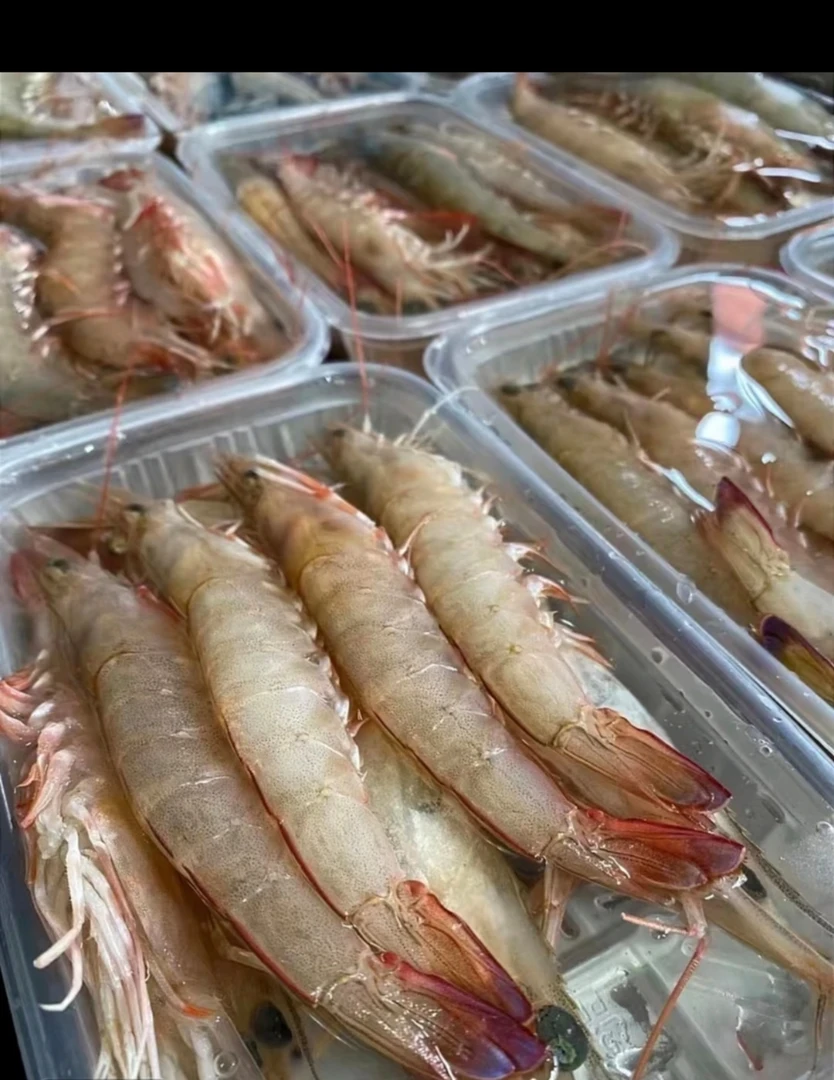 本港纯天然野生麻虾 沙卢虾