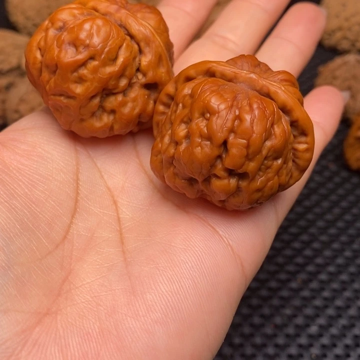 秦岭野生111111111