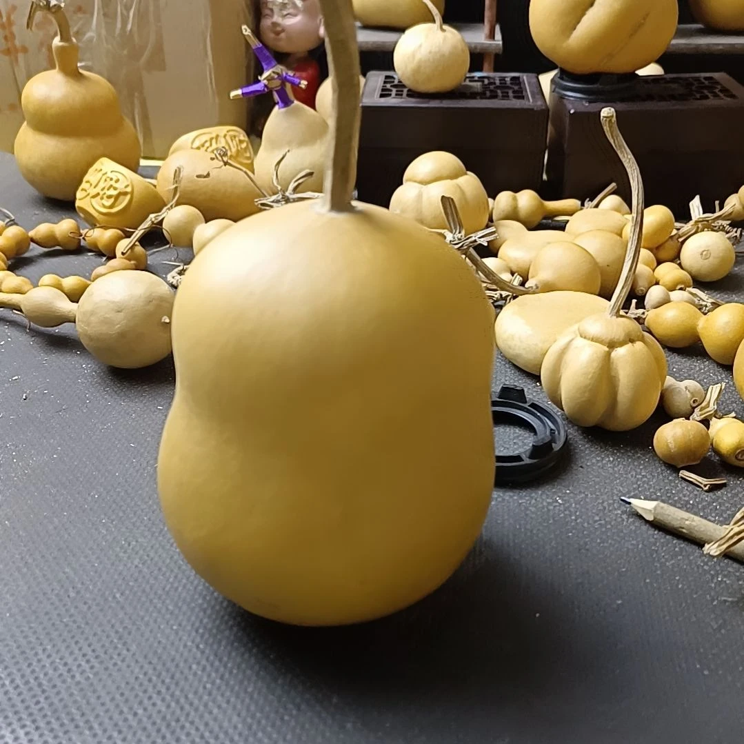 威****校全品无瑕厚皮葫芦