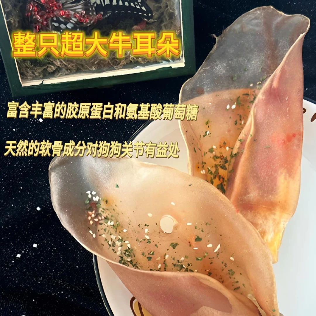 整只超大牛耳朵狗狗磨牙洁齿消磨精力