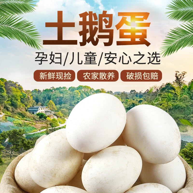 【自营农场】鹅蛋新鲜农家散养土鹅蛋正宗散养大鹅蛋特大号鹅蛋批发