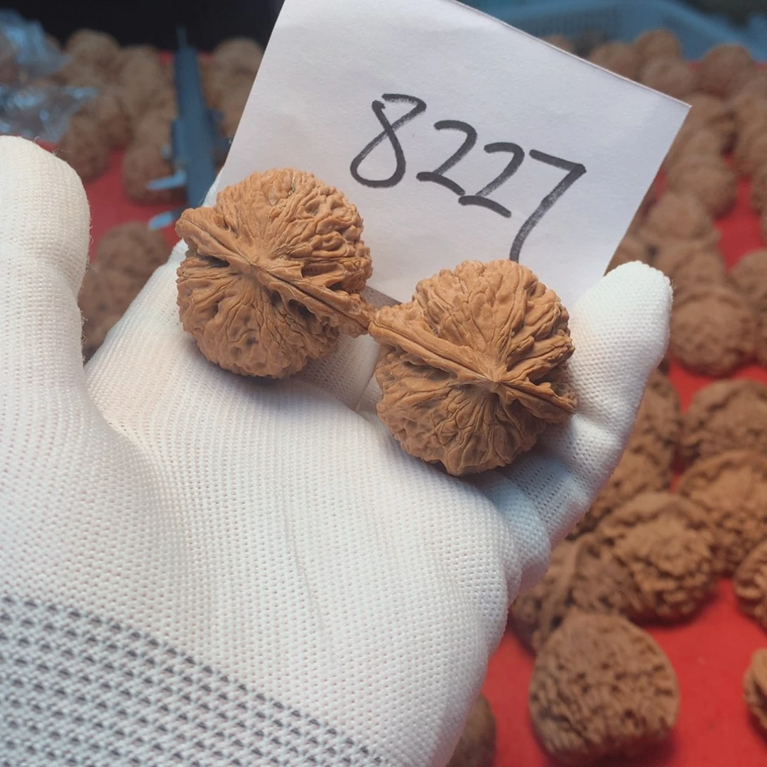 核桃手串/手链丶****w白狮子39尺