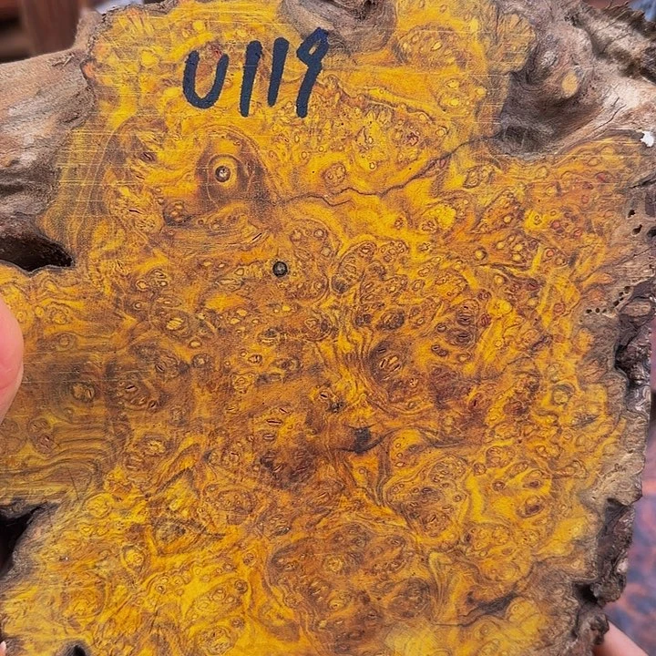 木美**界金丝杜仲瘤疤料子