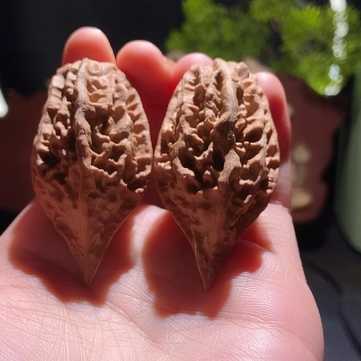 文玩核桃把件聚核财婉楸21
