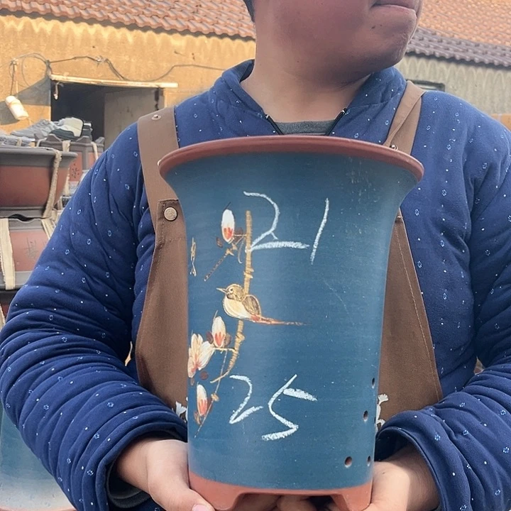 紫砂紫砂花盆盆栽