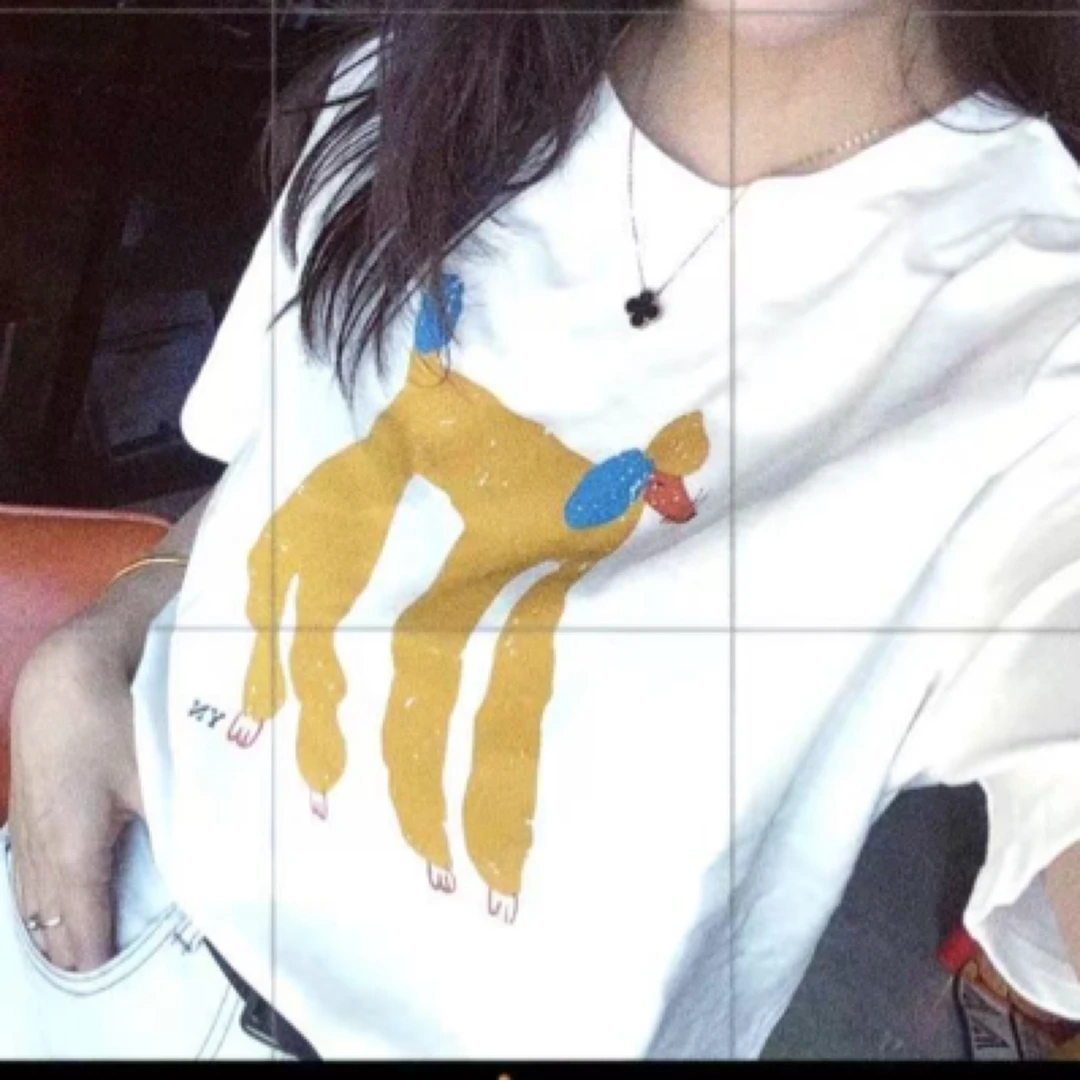 秒杀（no调no退）韩版高级感狗狗印花短袖