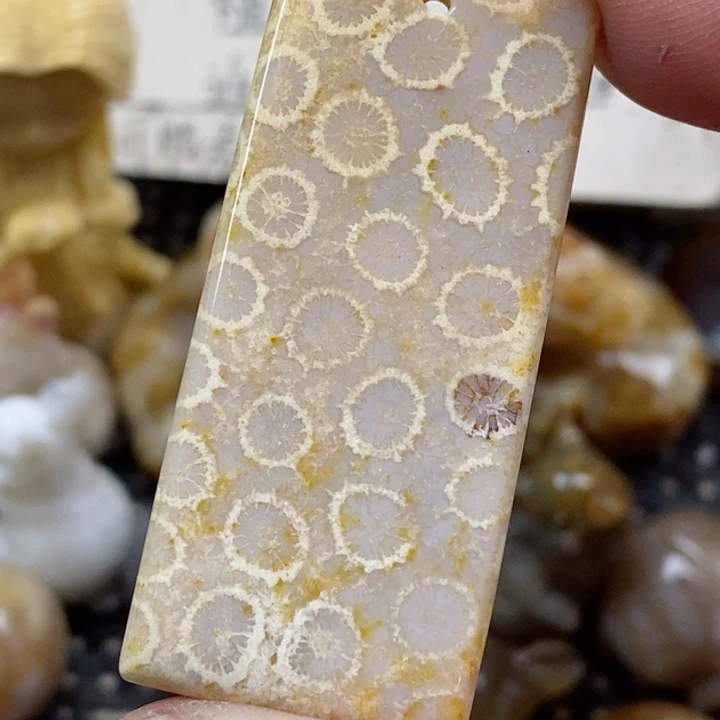 颈饰未镶嵌硅化珊瑚（珊瑚玉）