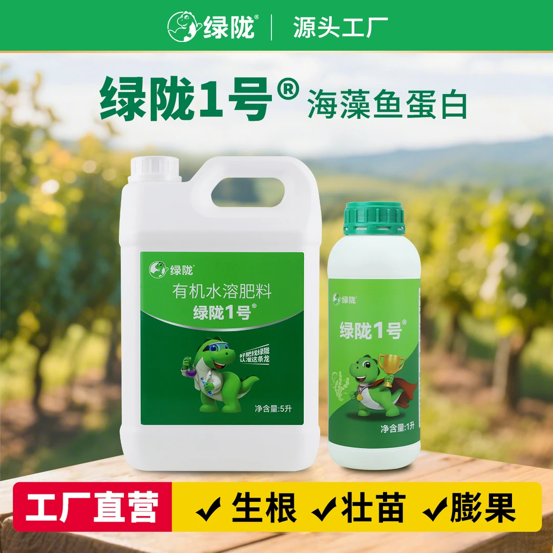 绿陇1号 生根壮苗膨果 提品质