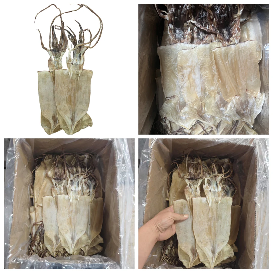 特大鱿鱼干海产鱿鱼海鲜产品新鲜整个肉厚煲汤煮粥烧烤用料