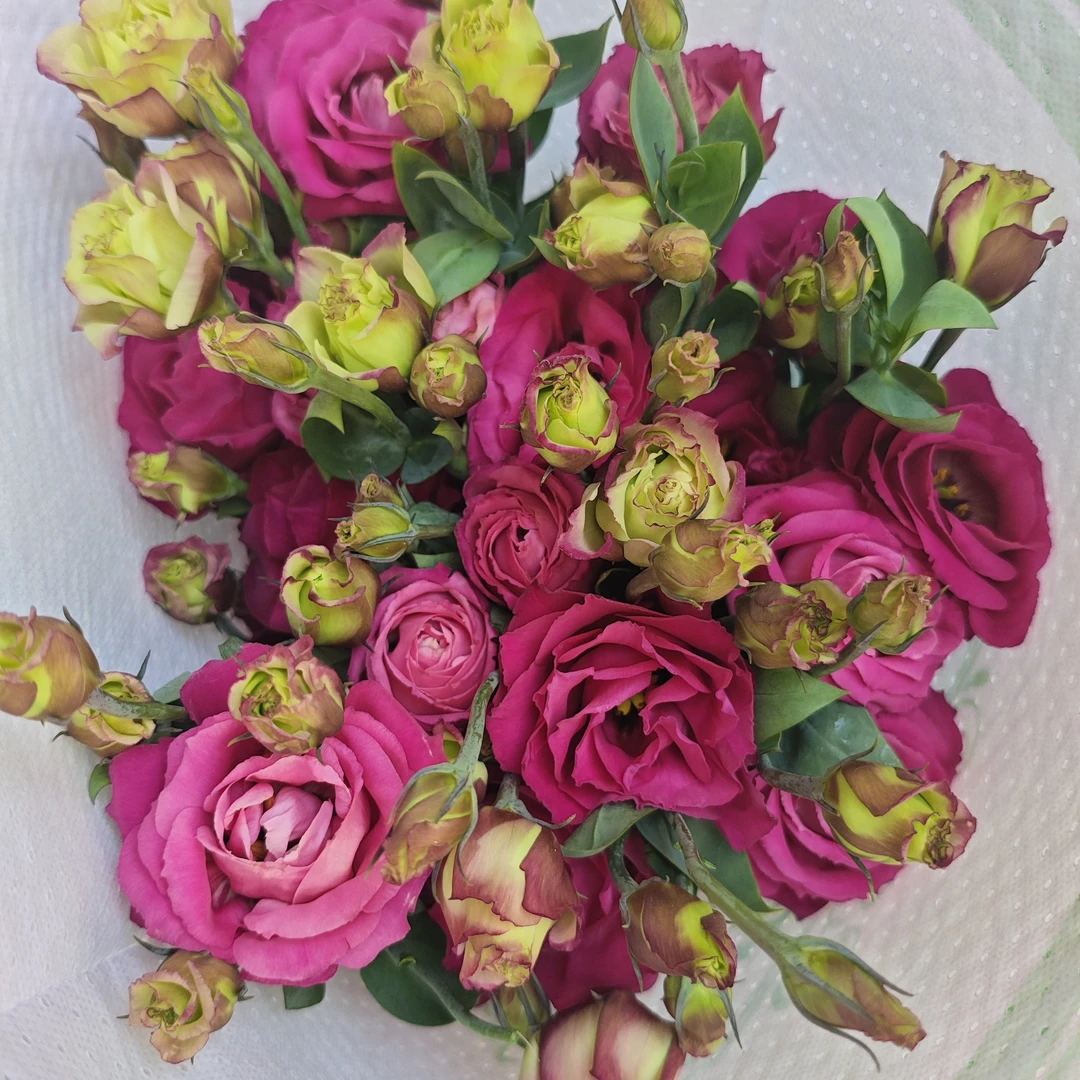 【红花洋桔梗】家用鲜花/花束   云南鲜花基地直发