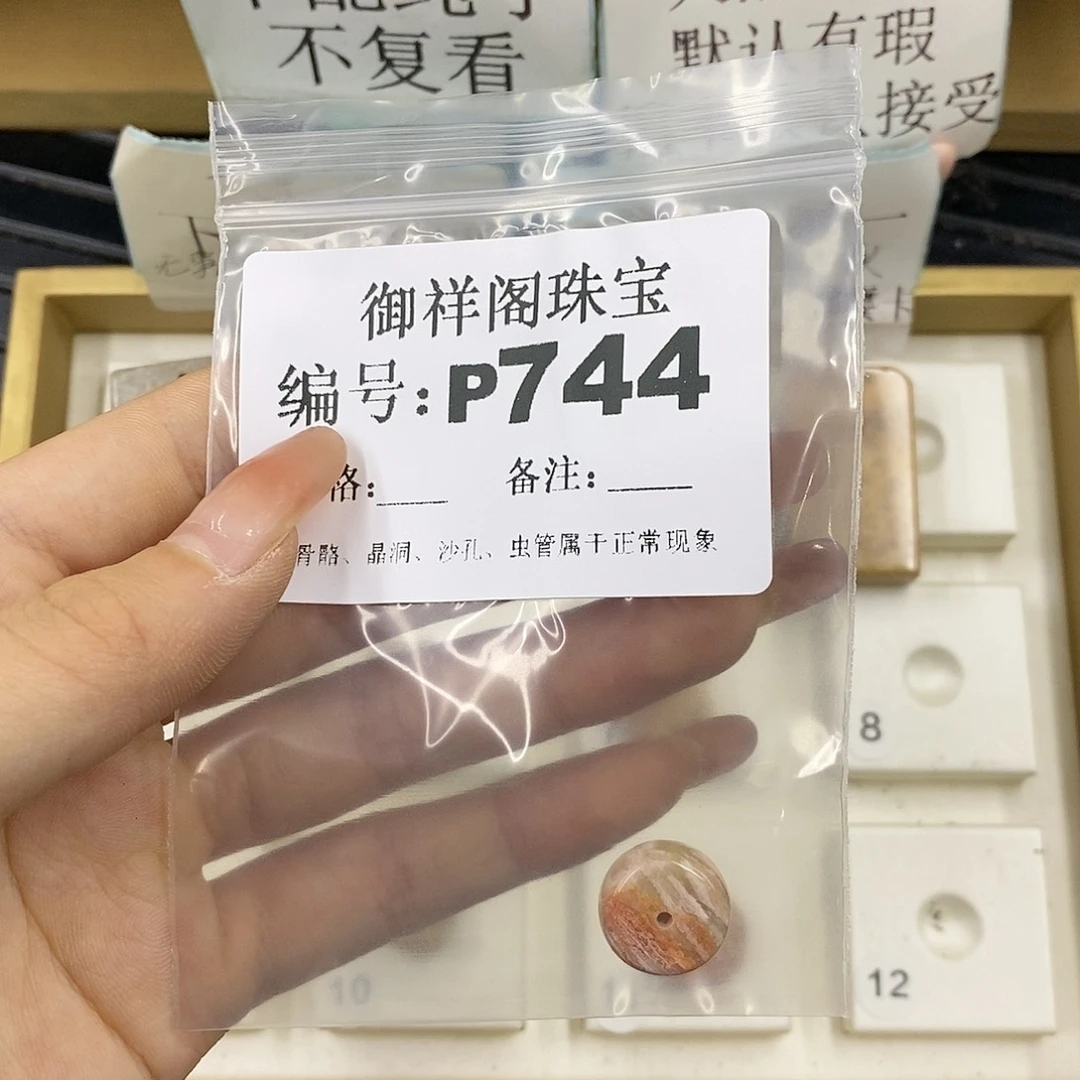 硅化珊瑚（珊瑚玉）未镶嵌颈饰若**e