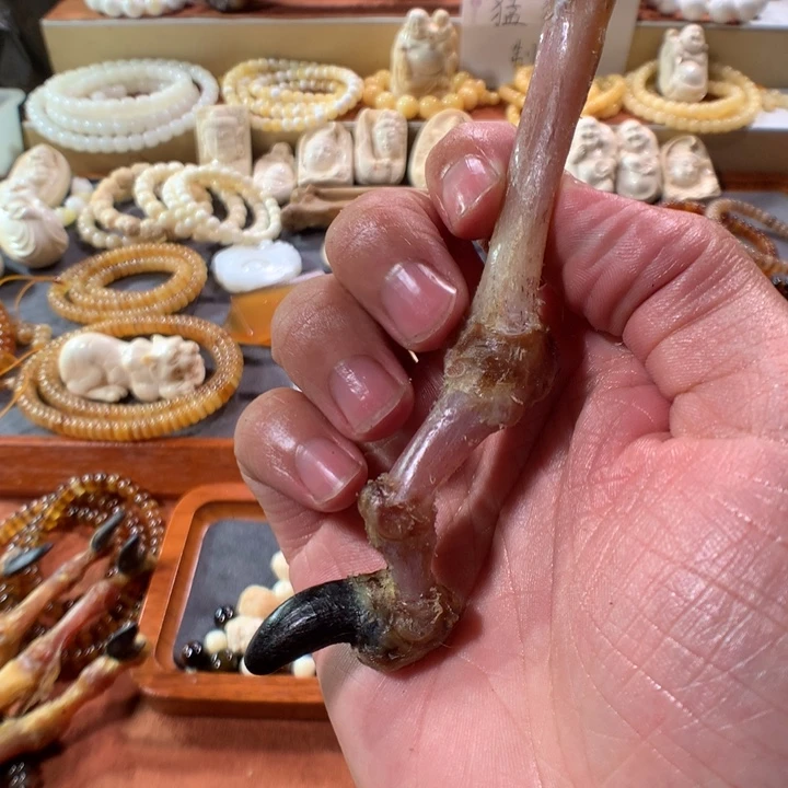 树脂制品掌骨把件