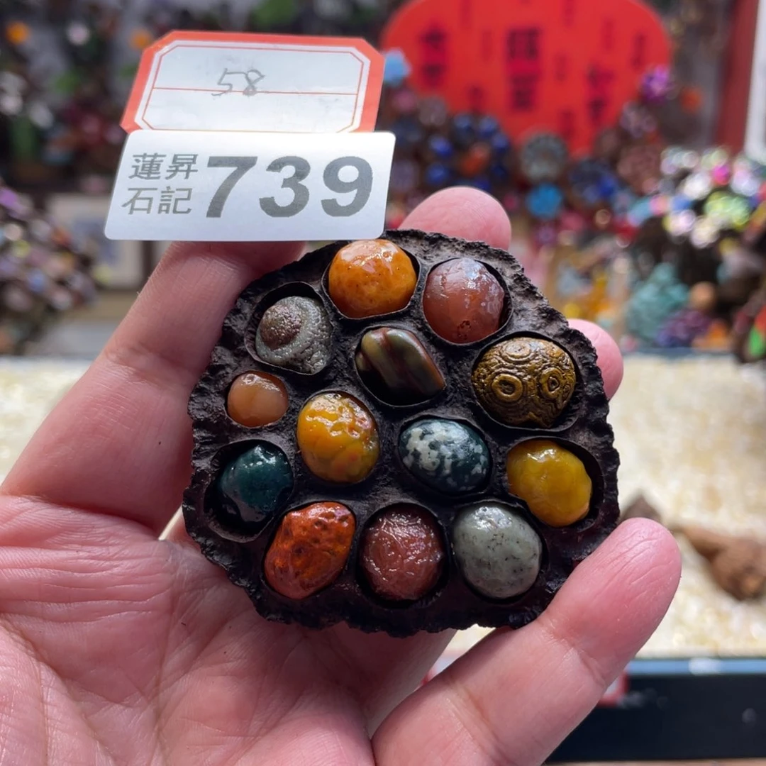 核桃木/黑胡桃（胡桃木）陈**.739