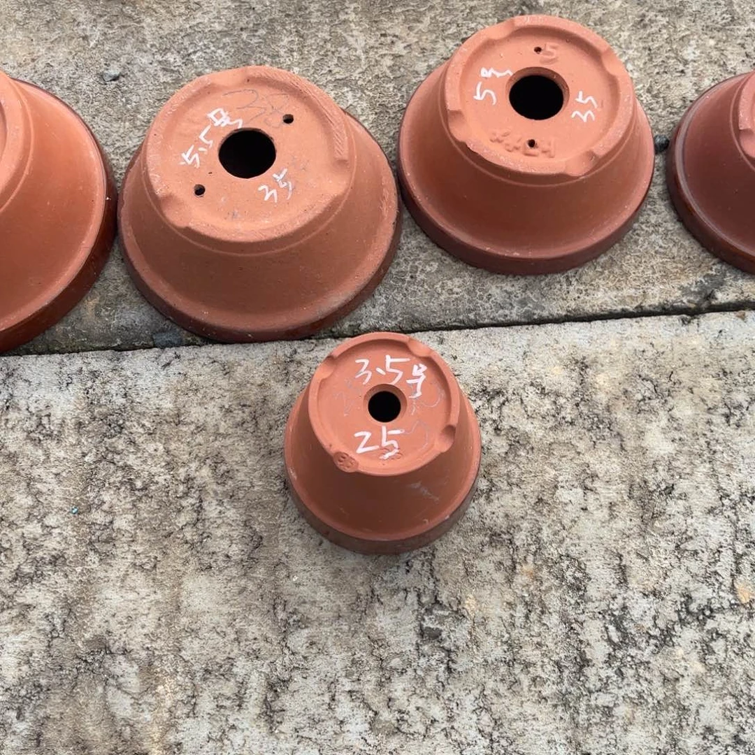 章***子3.5号深2只，打孔4