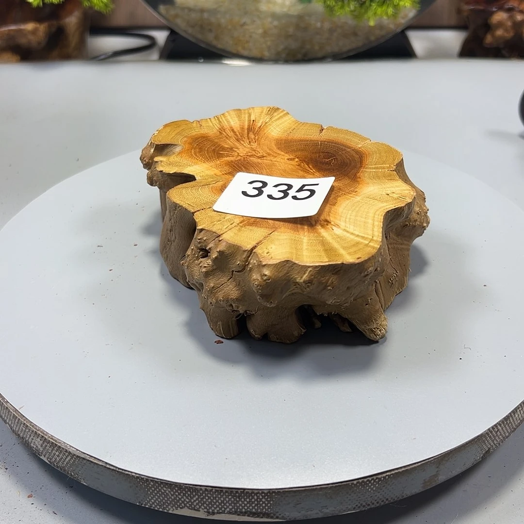 大果紫檀（缅甸花梨）?*?