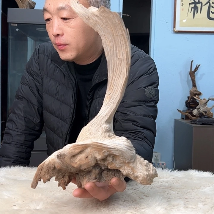 柏木柏**境我们都是好孩子呀我也