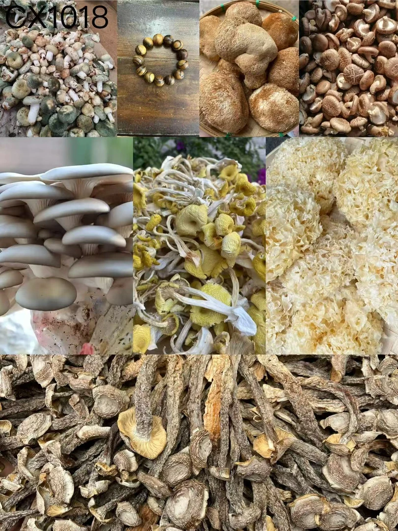 【孙哥专属土特产Cx-1018】多样性发货 重量32克