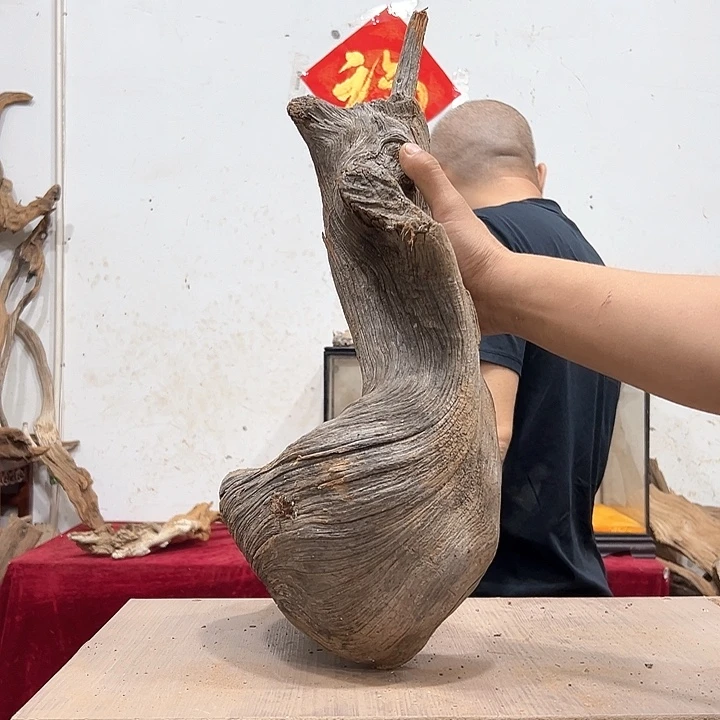 柏木祥**鹤强推这部电影我