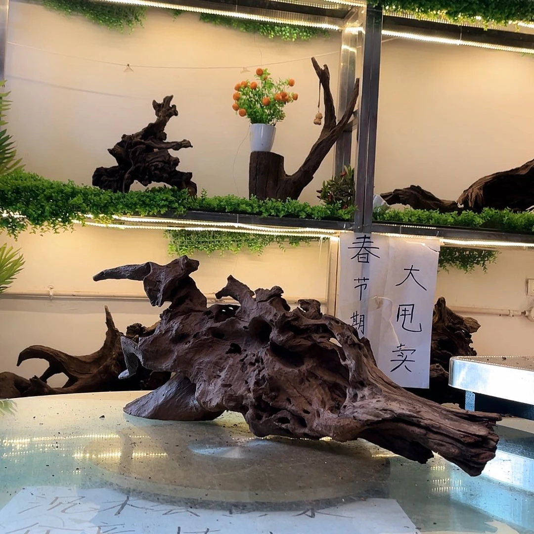 柚木沉木鱼缸造景