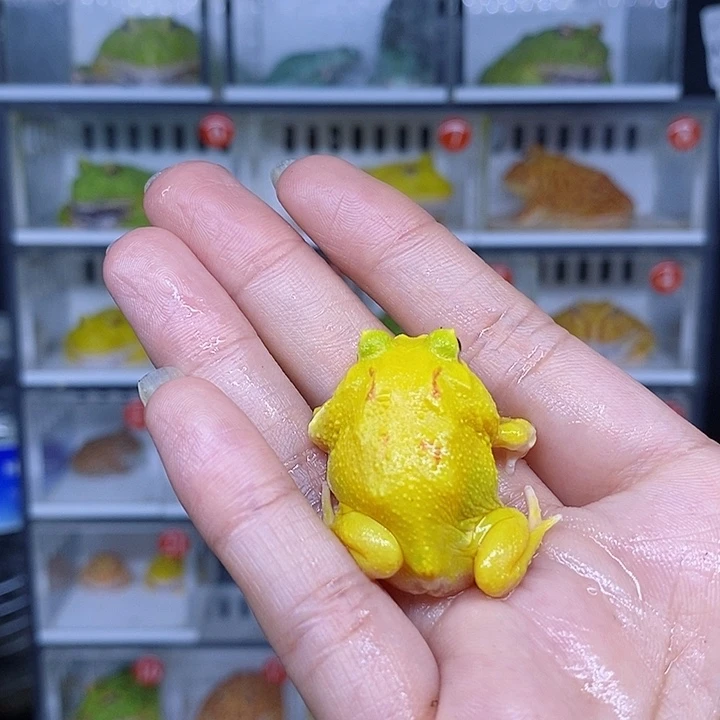 特价秒杀活动超给