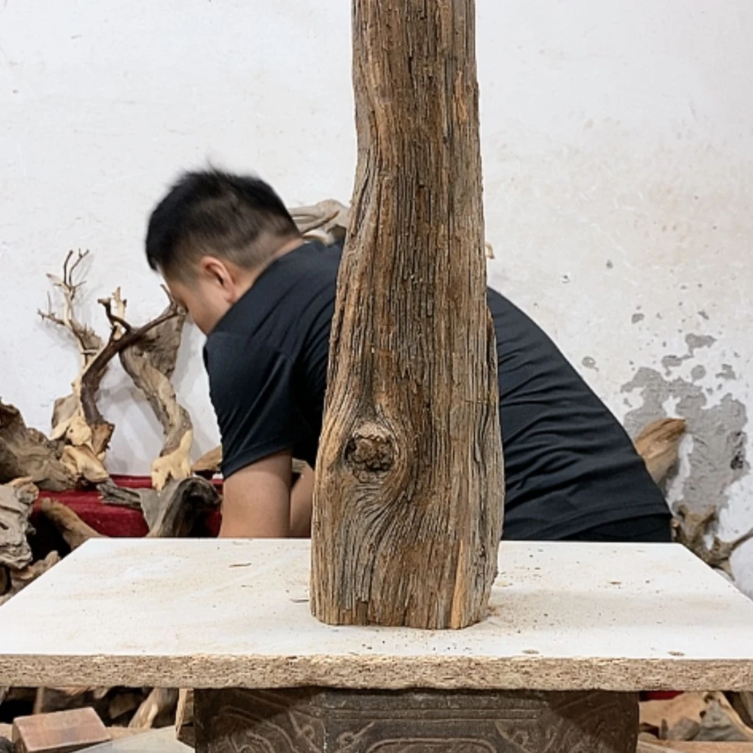 【闪购商品】柏木唐**哥我们都是好孩子