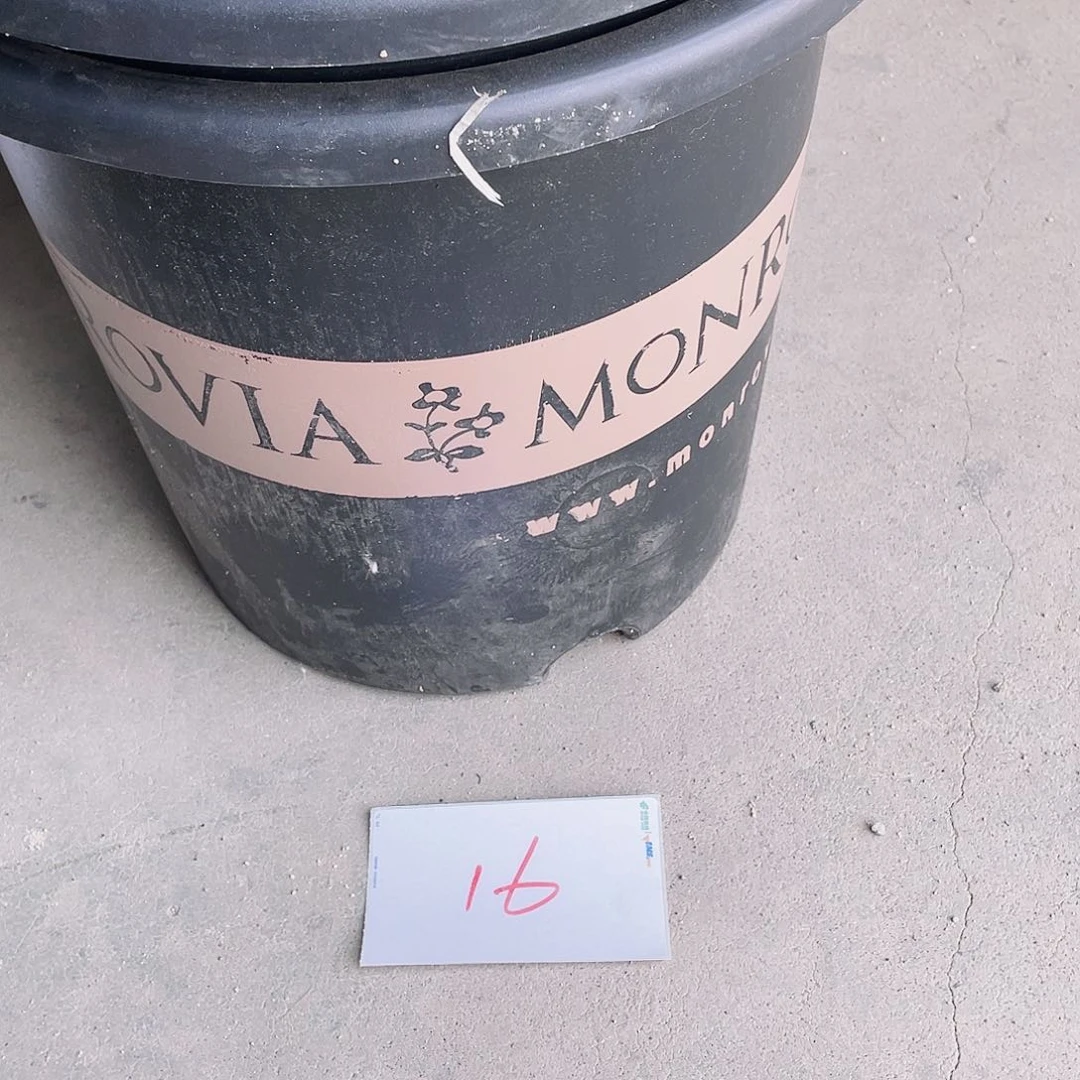 编号是16号的16号的