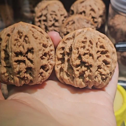 吊坠文玩核桃48.5粗筋