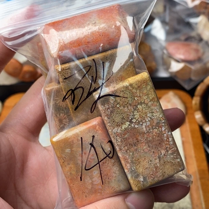 石***一颈饰未镶嵌硅化珊瑚（珊瑚玉）