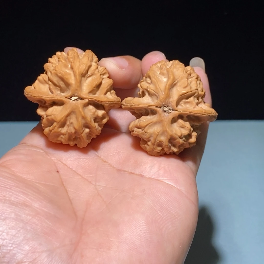 核桃41尺全品梨木台