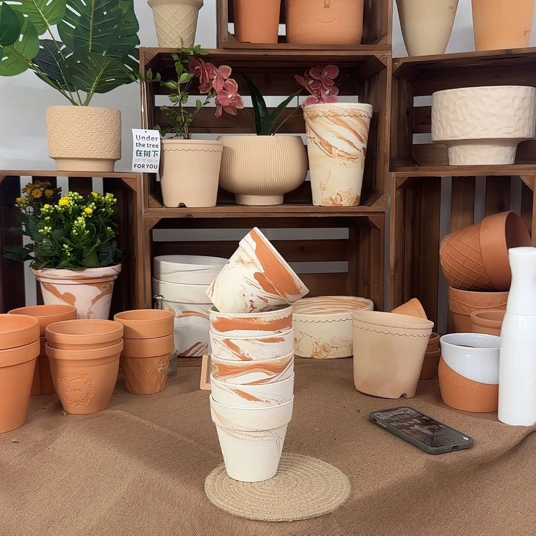 微瑕橘里橘气标准国际盆10口10高6个