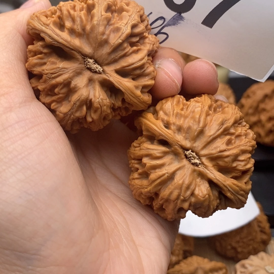 文玩核桃把件167号46粗筋