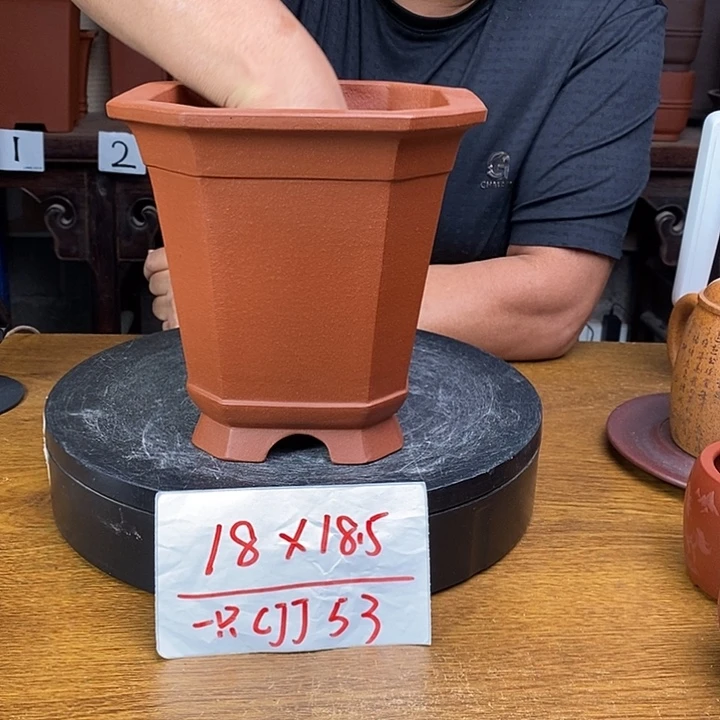 紫砂货号一只cJJ53