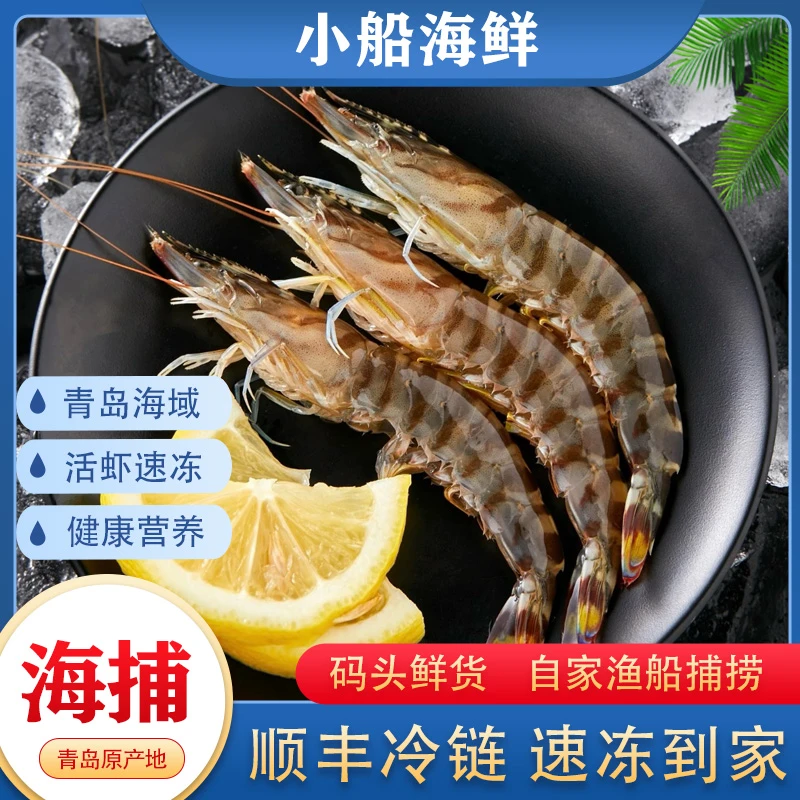 【小船海鲜】青岛码头开海竹节虾活虾速冻35头左右顺丰冷链速达