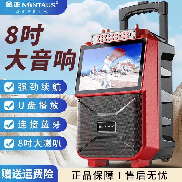 NINTAUS/金正1033大屏广场舞拉杆音响k歌户外大功率带显示屏音箱