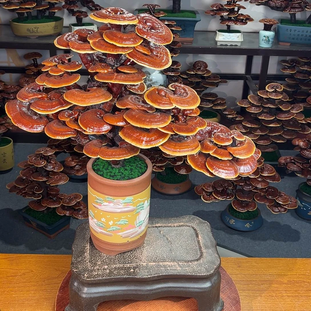 无花朵万事如意8888888888888