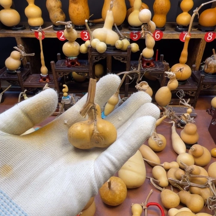 *****葫芦葫芦葫芦葫芦