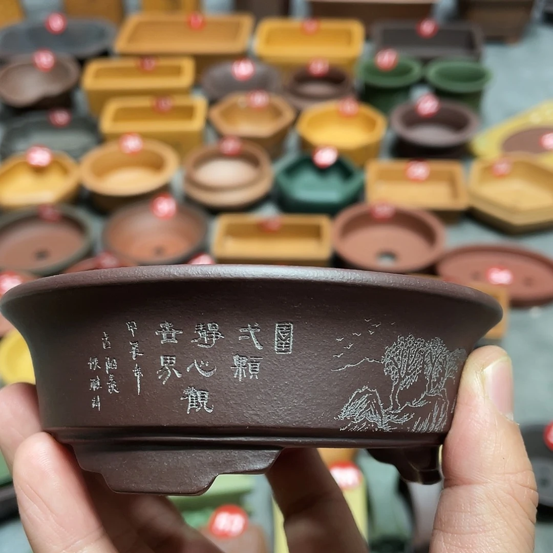 紫砂小盆10*3cmmmm