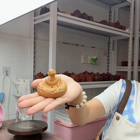 段泥蛇茶宠茶宠茶宠