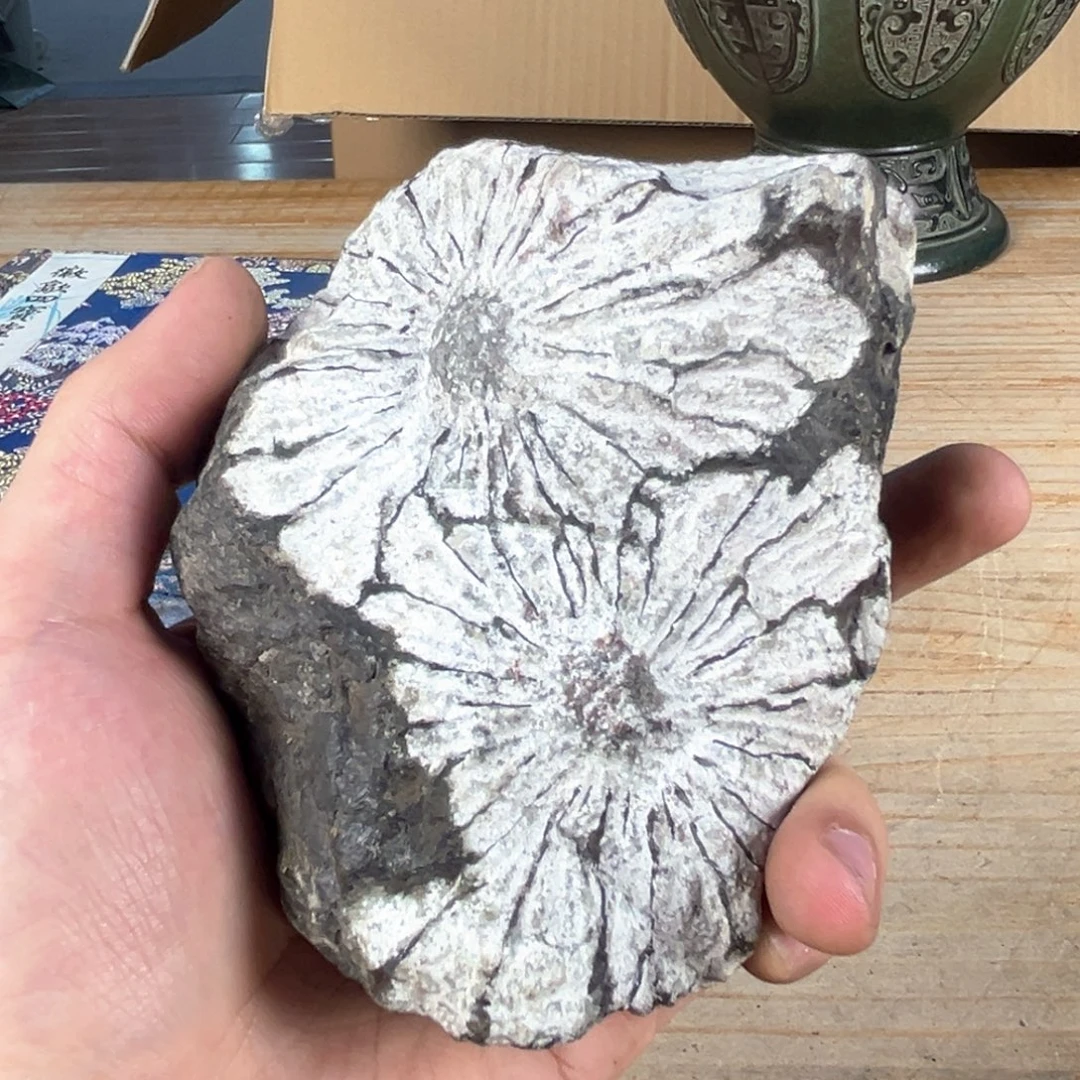 瓷片你也不要说对不起哦