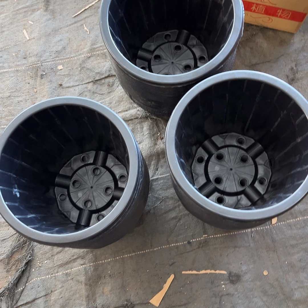 口径22.5高2黑胶盆21个