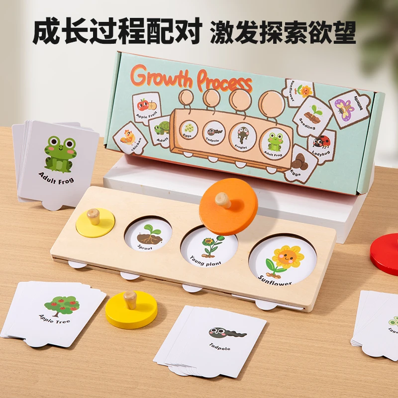 蒙氏早教成长演变过程配对动物拼图宝宝启蒙早教认知儿童益智玩具