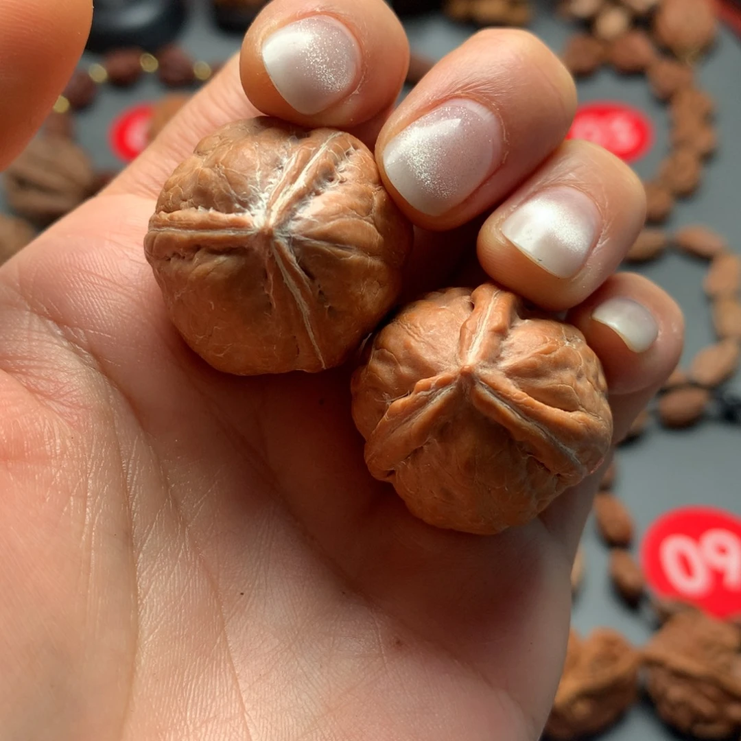 核桃11东北三棱异型