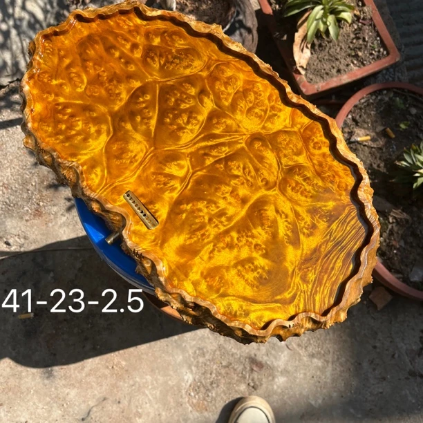 41-23-2.5黄金樟茶盘干泡托盘壶承高端整块原木树根满榴花