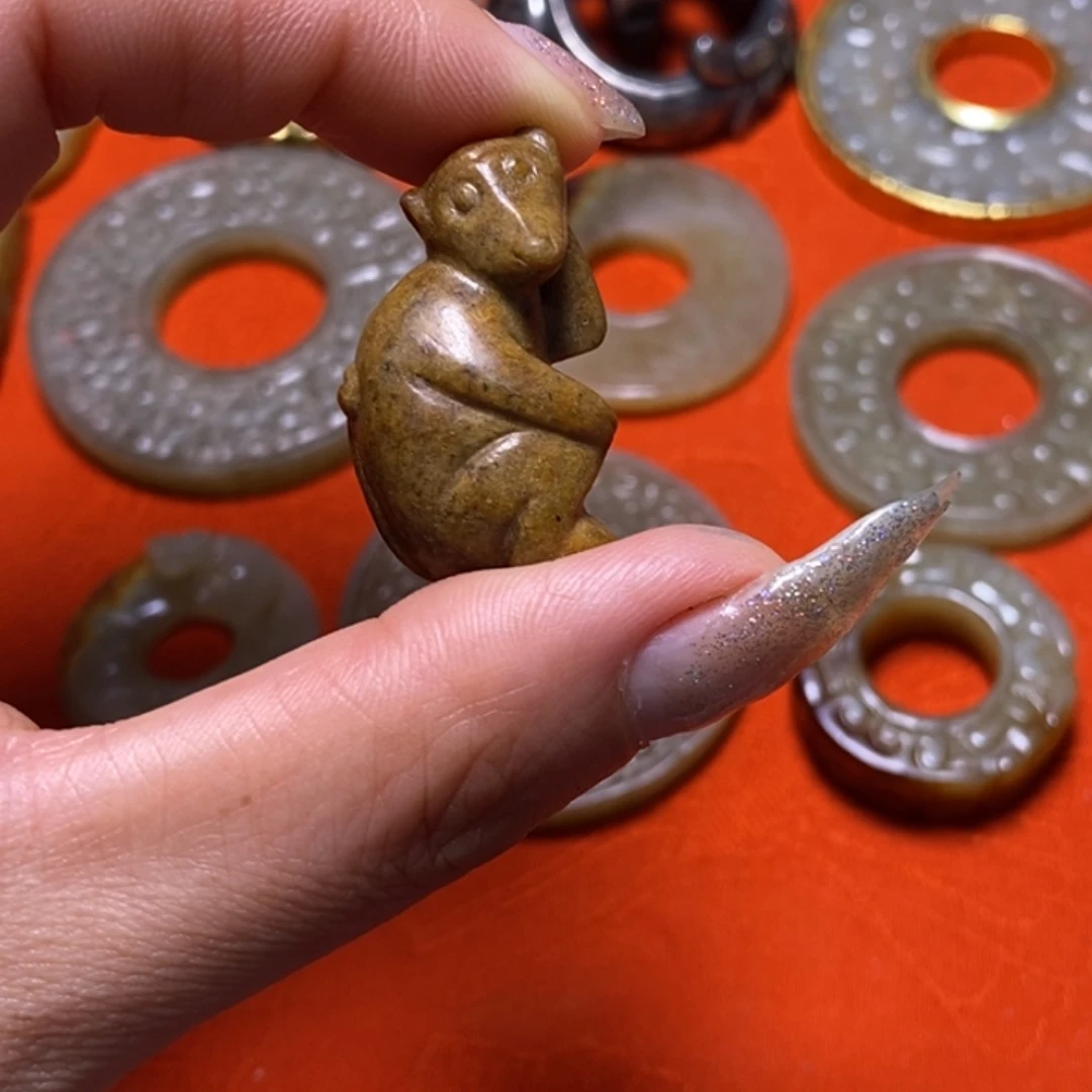 小动物。。。。。。。。。。。。。。