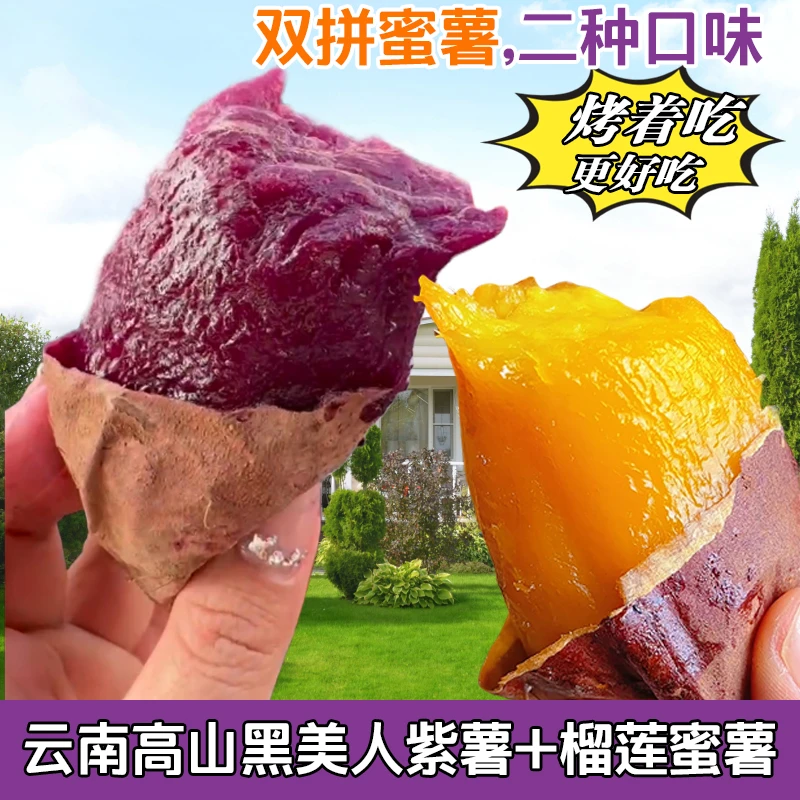 【双拼精品】云南高山原产正宗榴莲蜜薯黑美人紫薯一整箱混合发甜糯