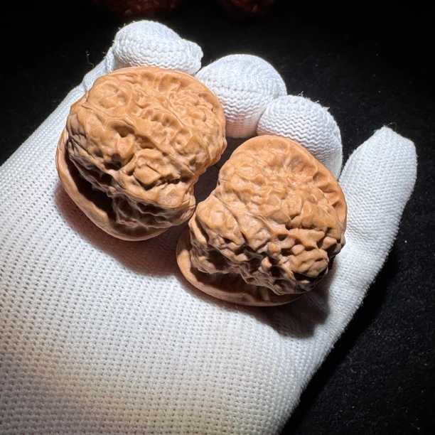 425水晶皮蛤蟆头文玩核桃走色牛津红 尺寸:边37肚39高30