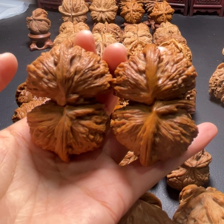 白狮子55尺寸连体核桃哈哈哈哈哈哈哈