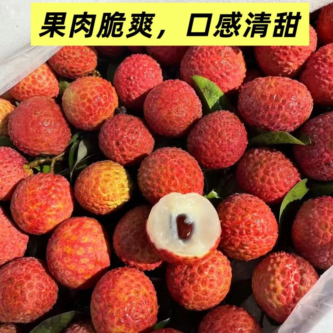 福建漳州玉荷包荔枝新鲜现摘现发正宗当季水果5斤整箱3斤荔枝